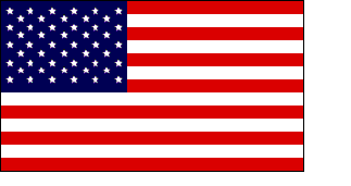 the American flag