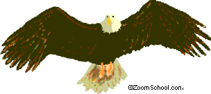 Eagle Fyling