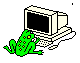 frog at a computer