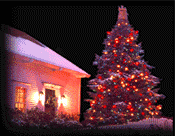 lit for Christmas
