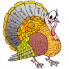 turkey