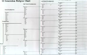 pedigree chart