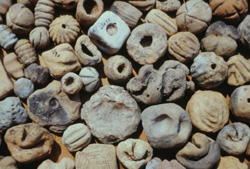 Archaeological finds