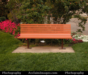 bench