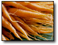 carrots