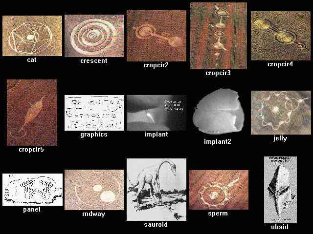crop circles
