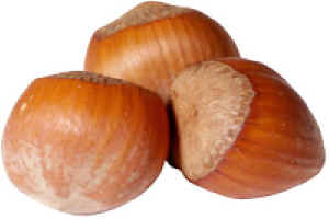 FILBERT NUTS