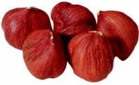 Shelled Hazelnuts