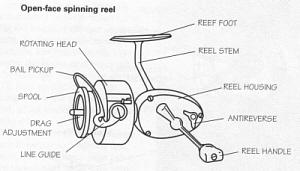 parts of an open spinnng reel 