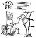 pavlov's dog