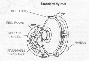 parts of a standard fly reel