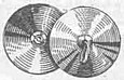 cymbals