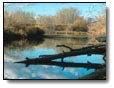 nice water scene